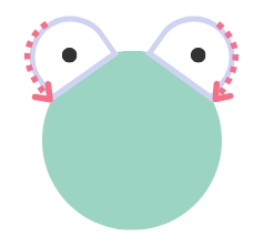 Frog Eyes cennection line picture scheme shows the rose rows beside each eye