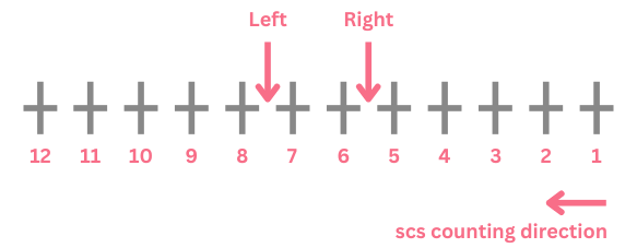 Frog eye insertion scheme, rose colored arrows show for left eye insertion between 8th and 7th stitch and for the right eye show place between 6th and 5th stitch.