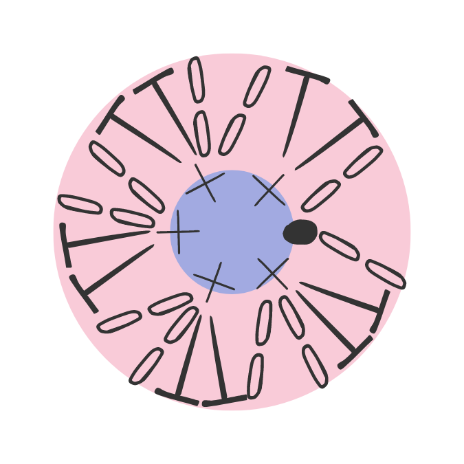 Crochet scheme for the crochet tiny flower