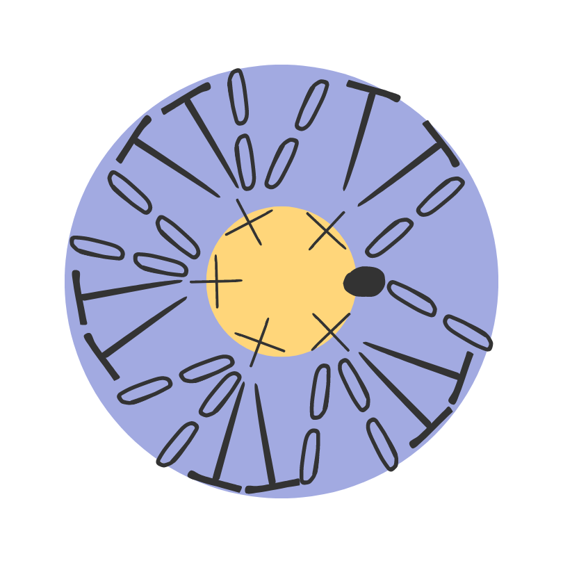 Forget-me-not scheme